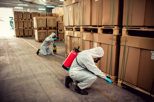 Best Affordable Pest Control Services  in Triangle, VA