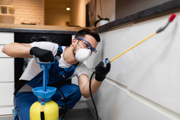 Best Pest Removal Services  in Triangle, VA