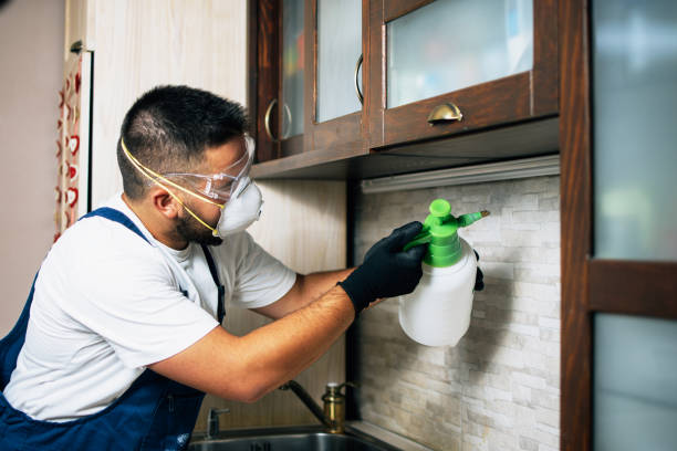 Pest Control for Restaurants in Triangle, VA