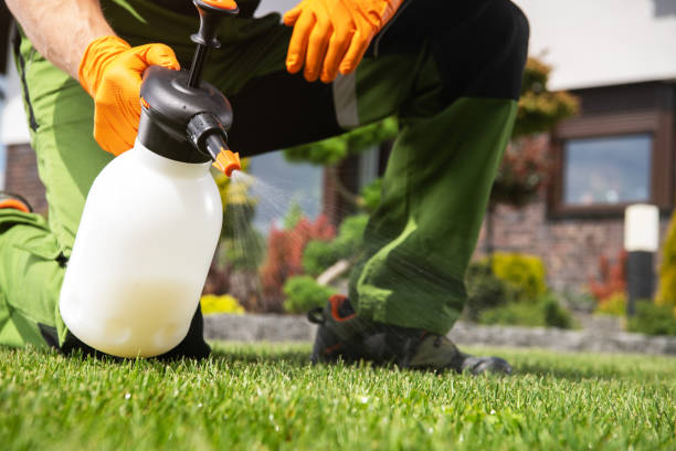 Best Emergency Pest Control  in Triangle, VA