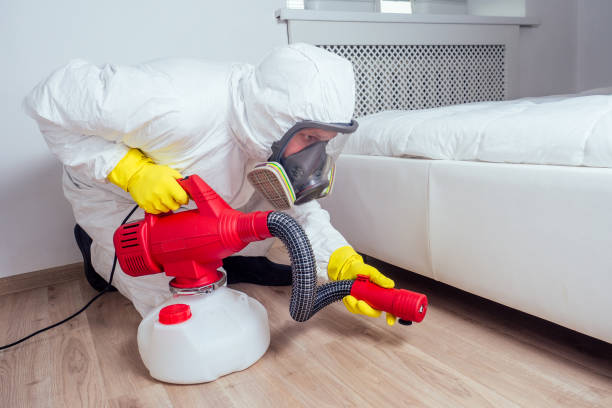 Best Pest Inspection Near Me  in Triangle, VA
