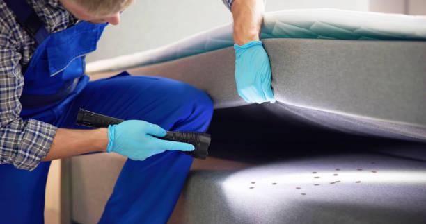 Best Exterminator Services  in Triangle, VA